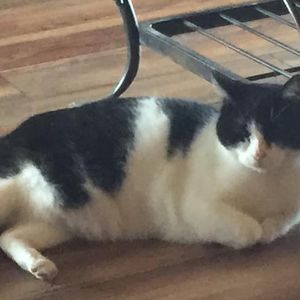 Meet your Posher, Dalton